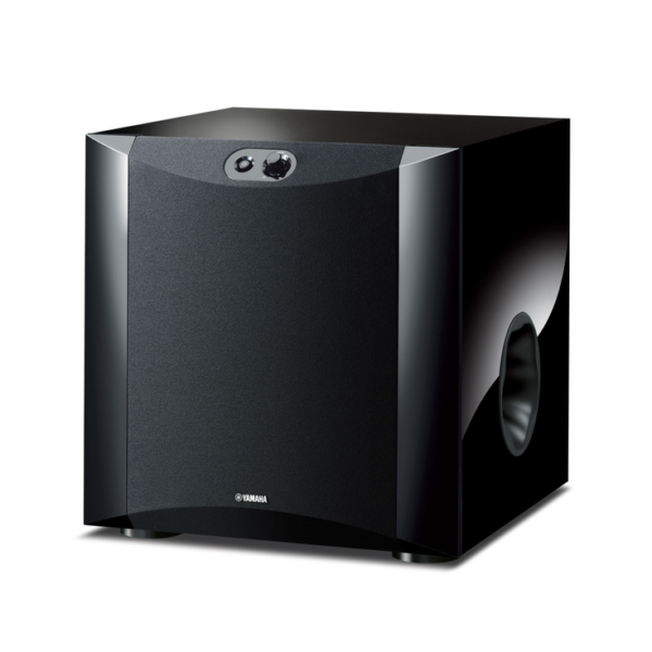 NS-SW300