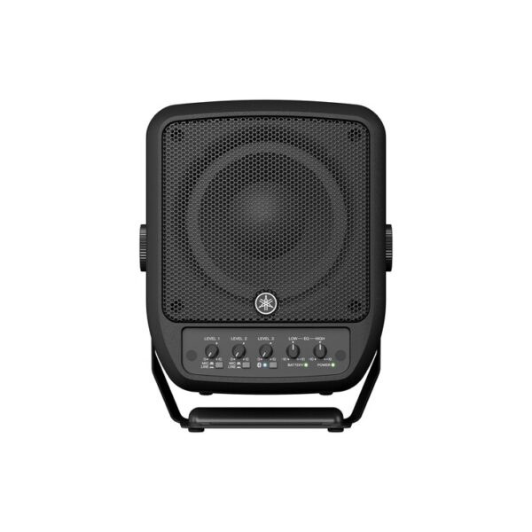 STAGEPAS 100BTR mkII