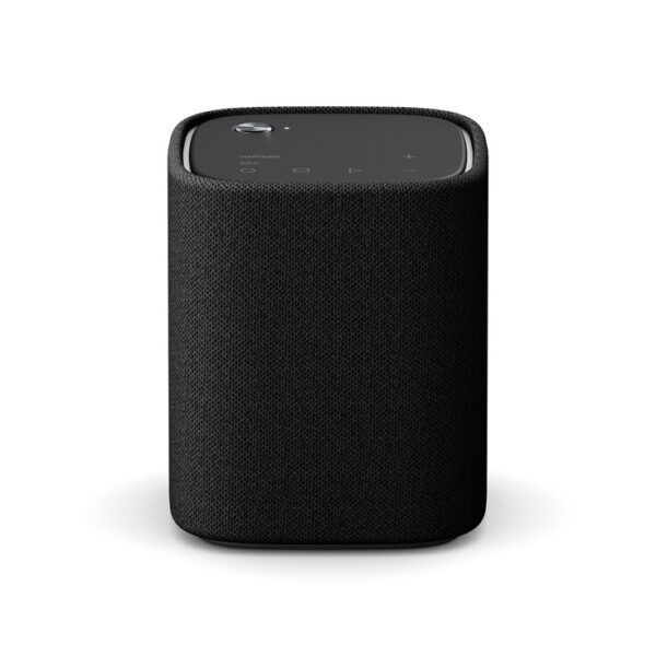 TRUE X SPEAKER 1A